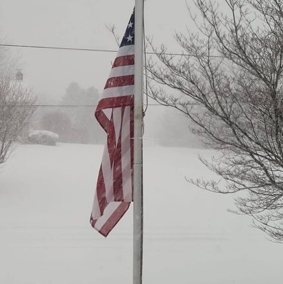 Meet your Posher, David - Picture 1 of 1